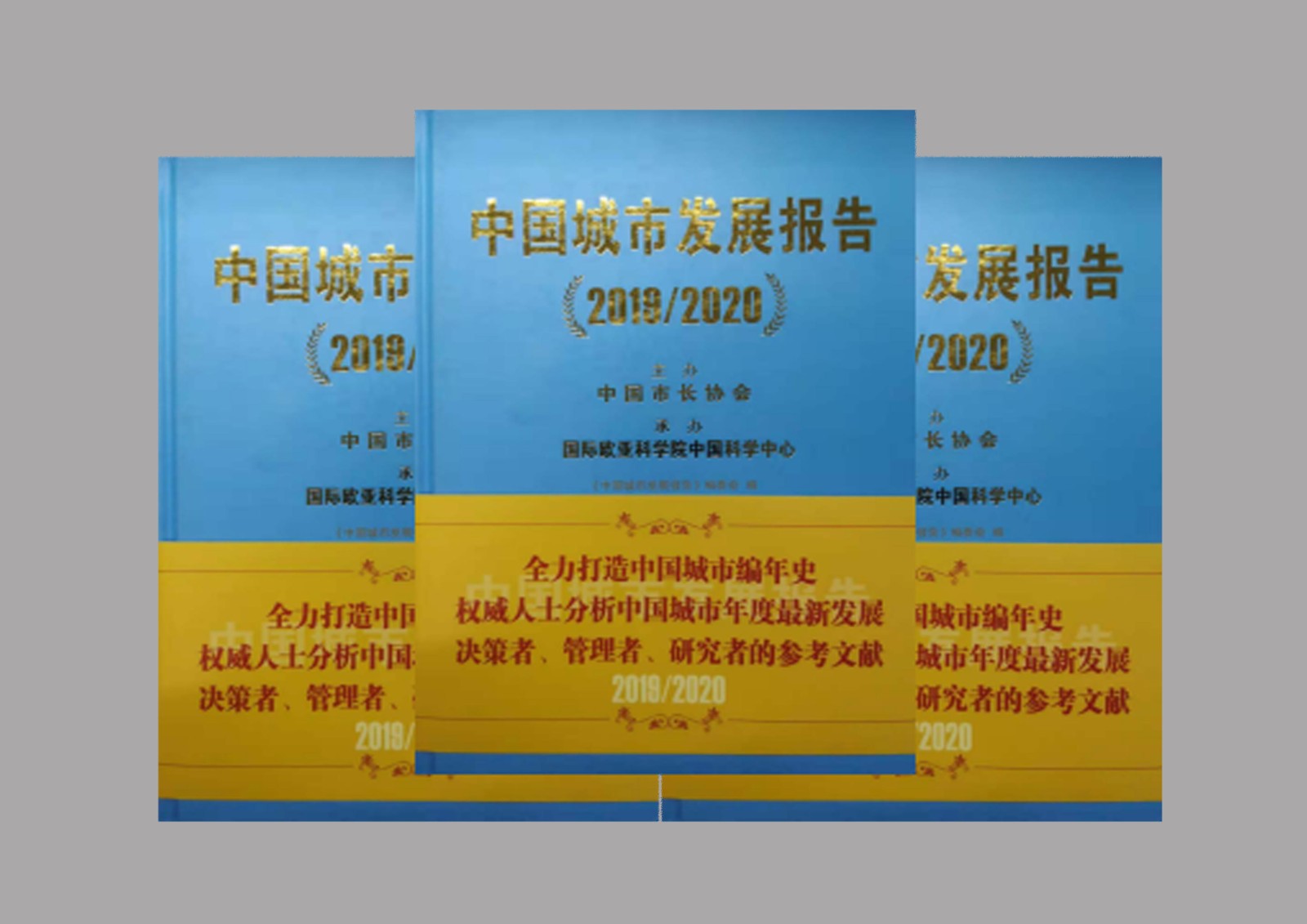 《中国城市发展报告2019/2020》隆重出版