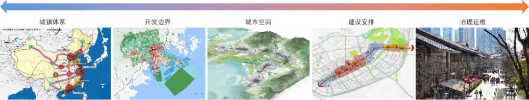 杨4.jpg