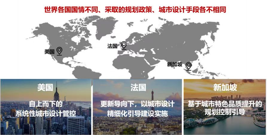 杨2.jpg