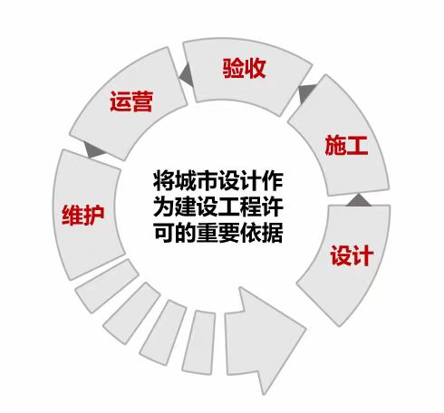 杨5.jpg