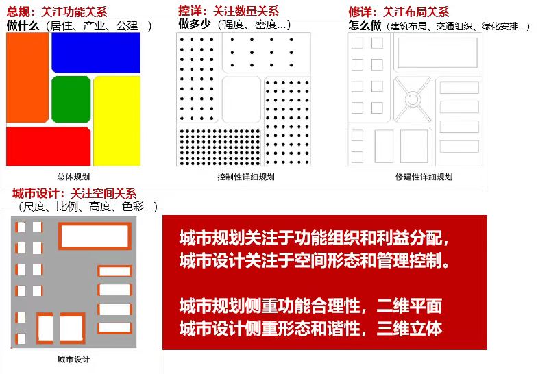 杨3.jpg