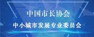 中国市长协会 小城市（镇） 发展专业委员会